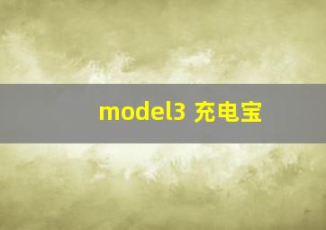 model3 充电宝